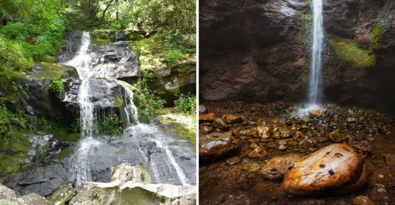 13 Smoky Mountains Adventures That Showcase Tennessee’s Most Scenic Hiking