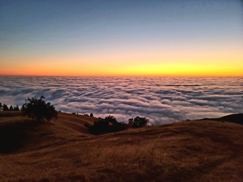 16 California Secrets Locals Keep Quiet Because They're Just That Good - Decor Hint Prewitt Ridge