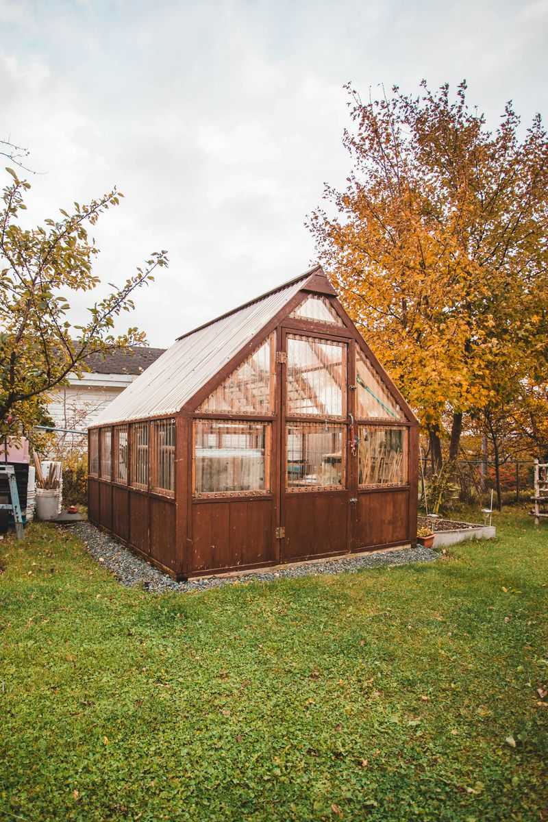 Unpermitted Backyard Sheds