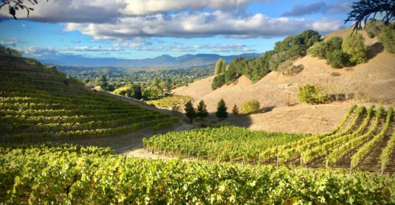 20 Strange California Quirks Only Longtime Residents Understand