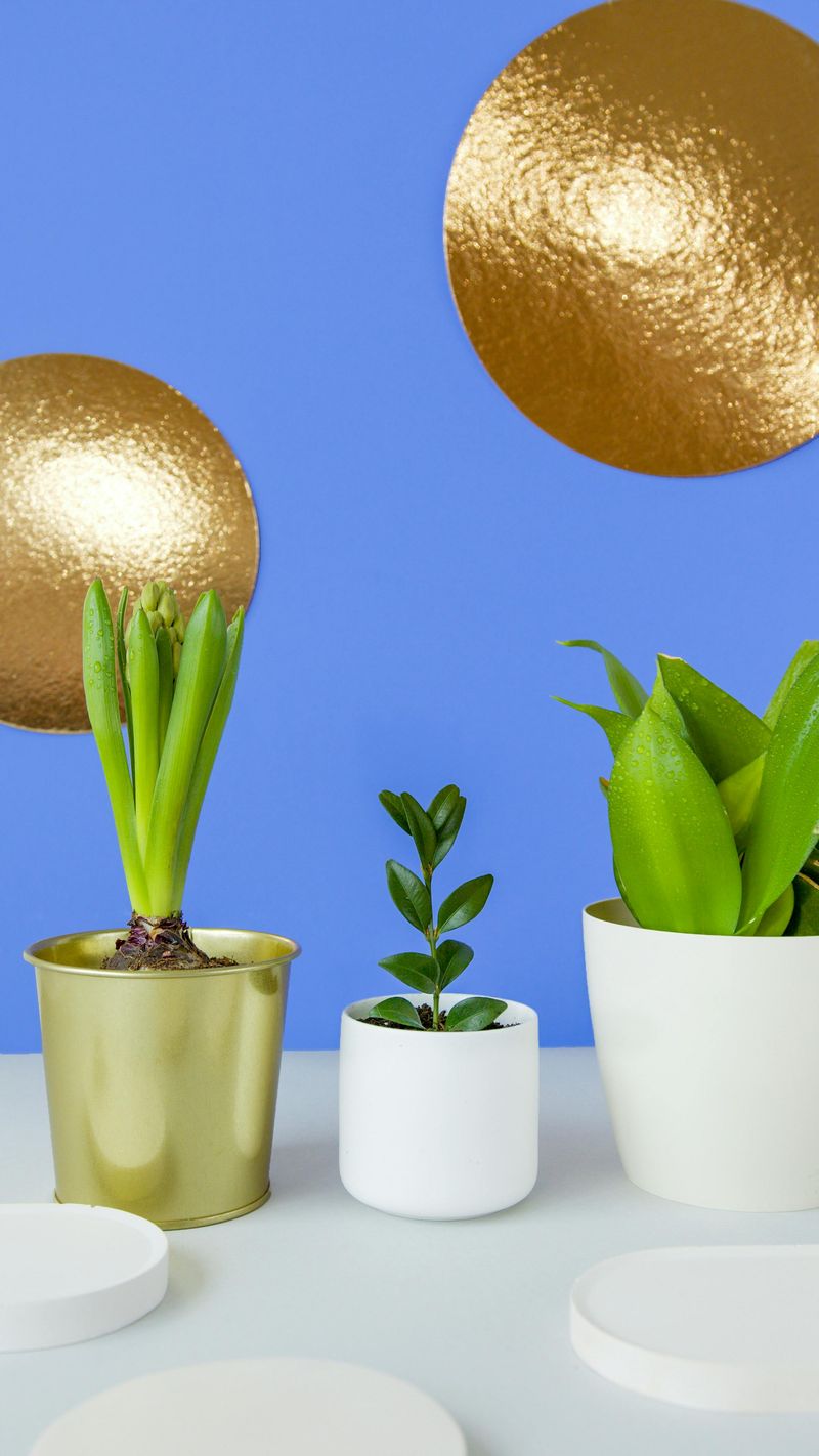 Embrace Metallic Accents