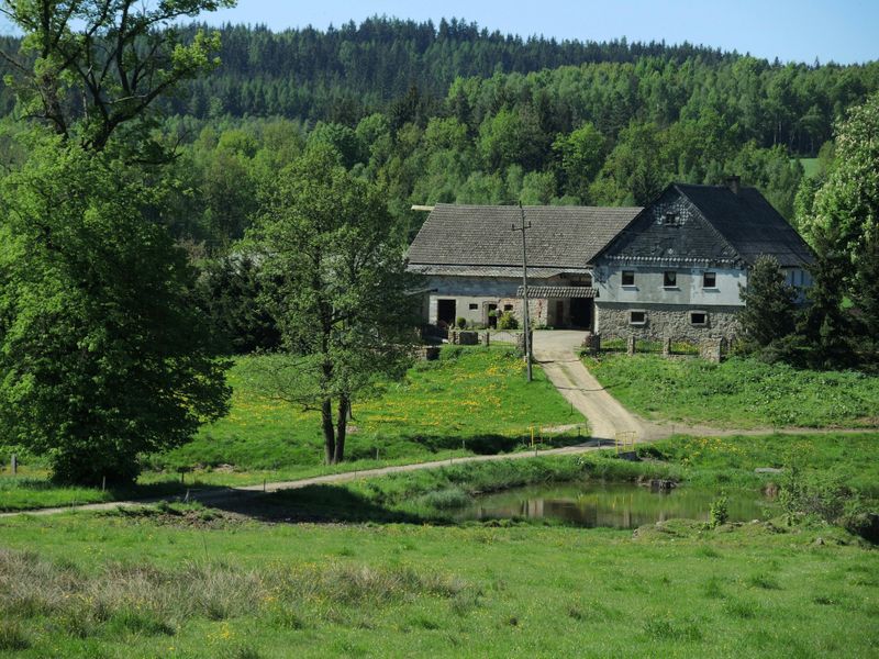 Large Estate Homes On Multi-Acre Lots