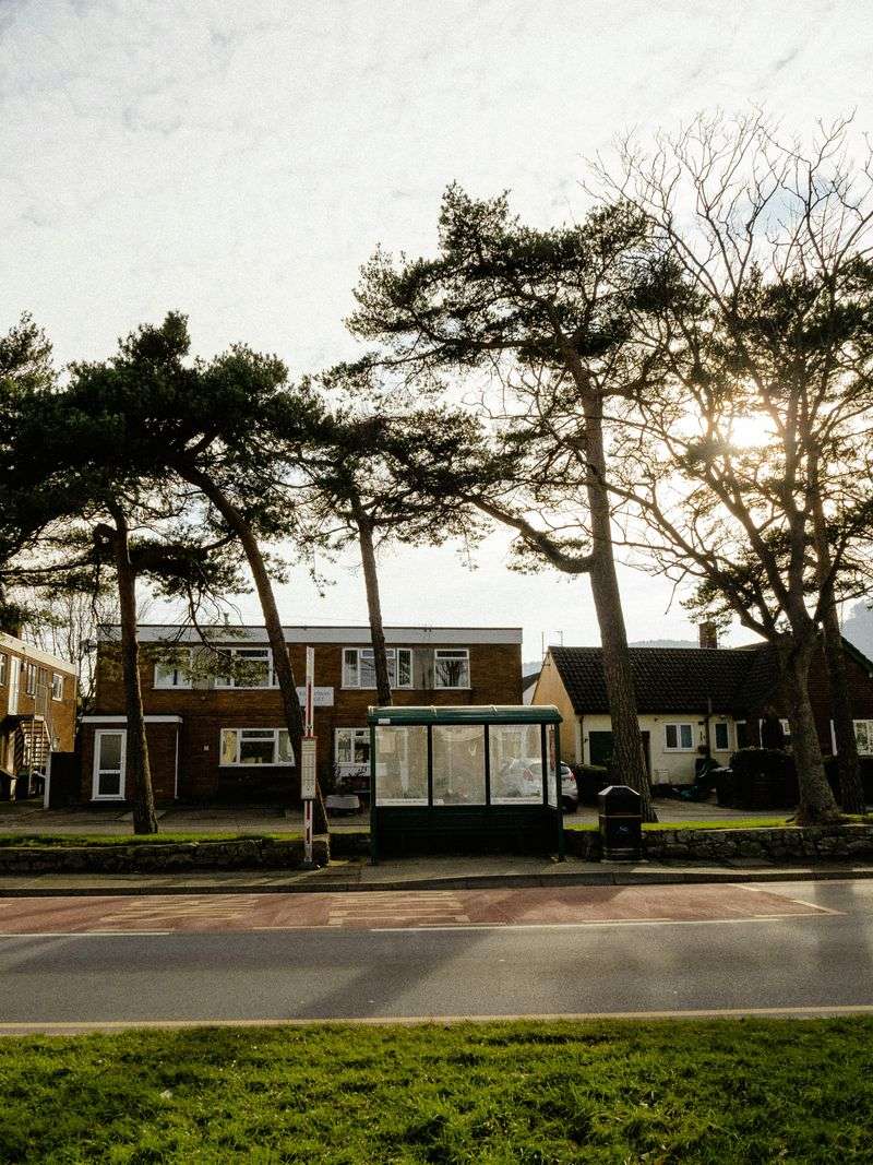 6 Types Of Homes In The State of Georgia Likely To Lose Value In 2026 And 7 Expected To Perform Better - Decor Hint Outdated Ranch-Style Homes In Suburban Areas