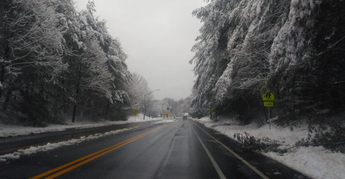 8 Haunted Virginia Roads Youll Regret Driving On This Winter - Decor Hint