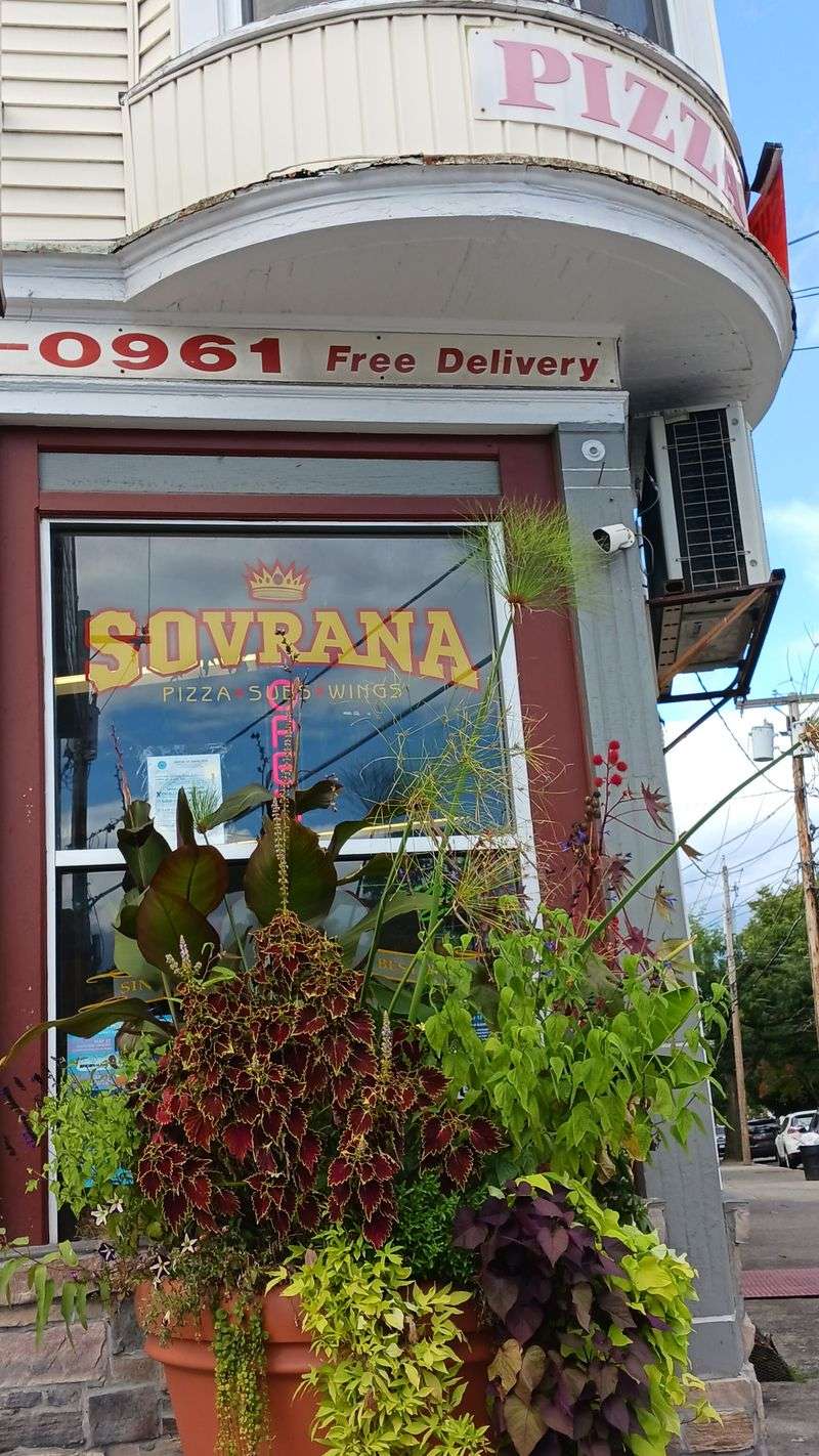 9 Must-Try Pizza Spots In Albany, New York - Decor Hint Sovrana Pizza & Deli