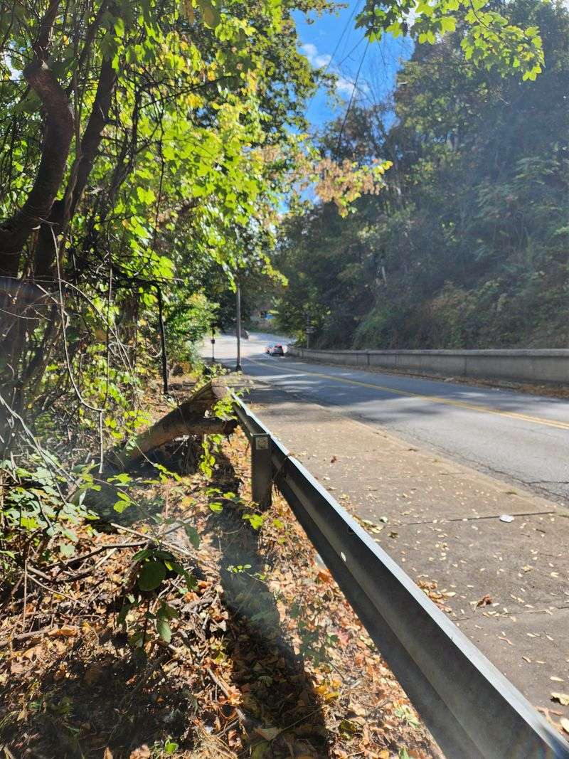 Accessibility Makes Magic Available To Everyone