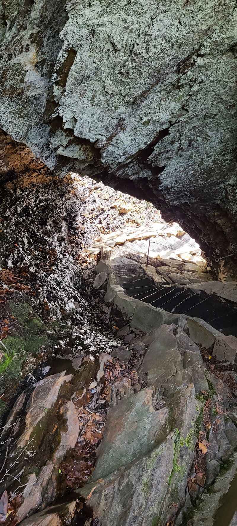 Mount LeConte via Alum Cave