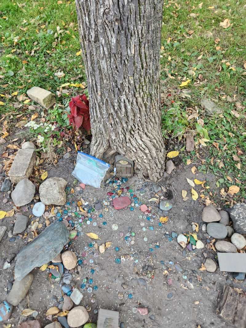 Minnesota's Hidden Escape You'll Wish You Knew Sooner - Decor Hint Preserving Magic For Future Generations