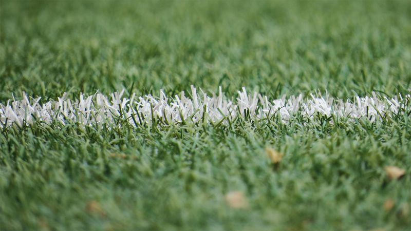 Artificial Turf