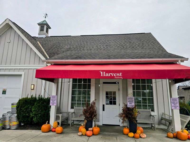 Harvest Pizzeria