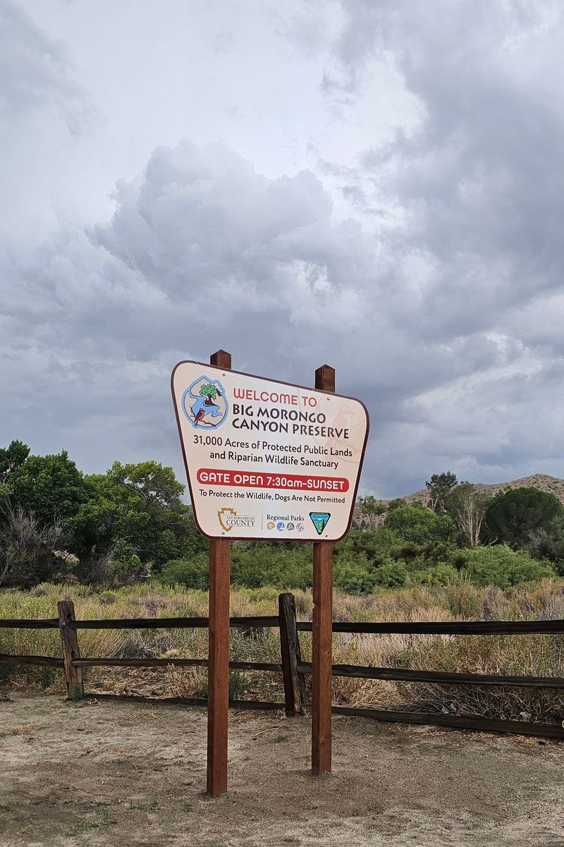 Big Morongo Canyon Desert Oasis