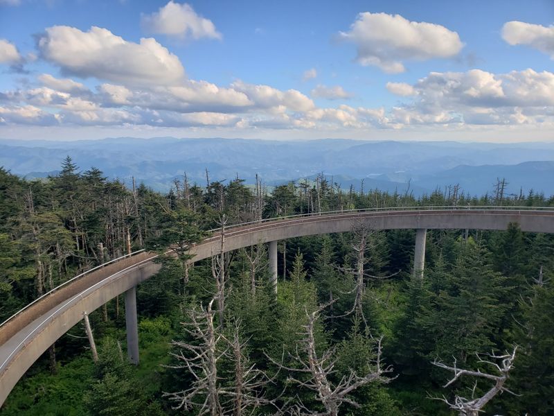 Clingmans Dome Trail