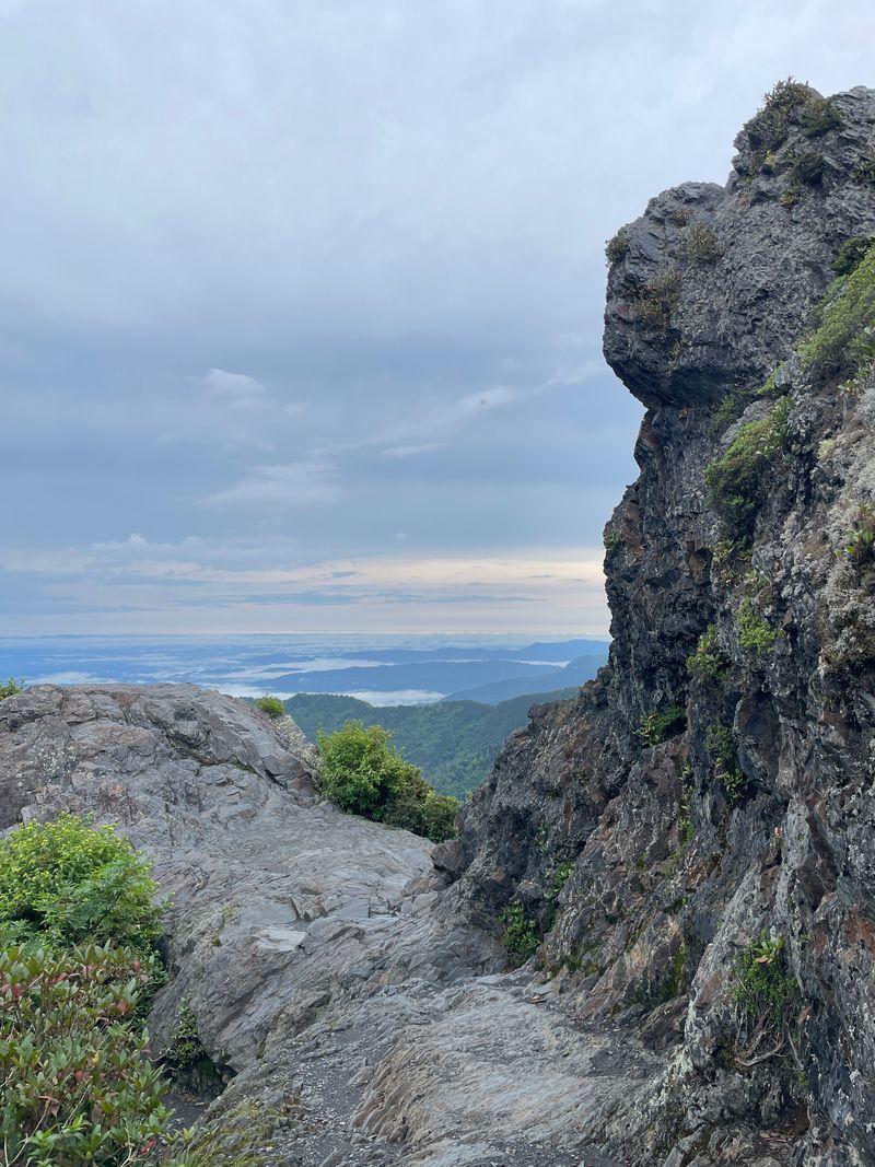 Charlies Bunion Trail
