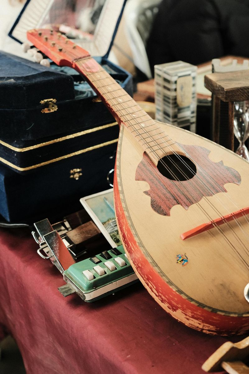 Wisconsin-Made Vintage Musical Instruments