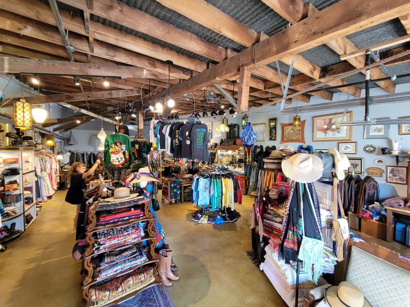 21 Texas Vintage And Collectibles Markets Where Rare Finds Are Flying Off The Shelves - Decor Hint Wildflower Vintage