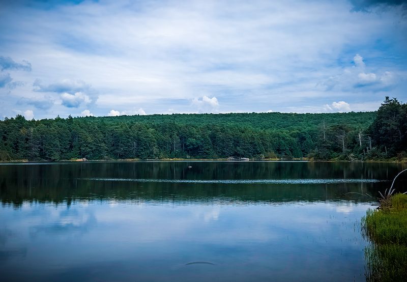 Hemlock Pond Trail