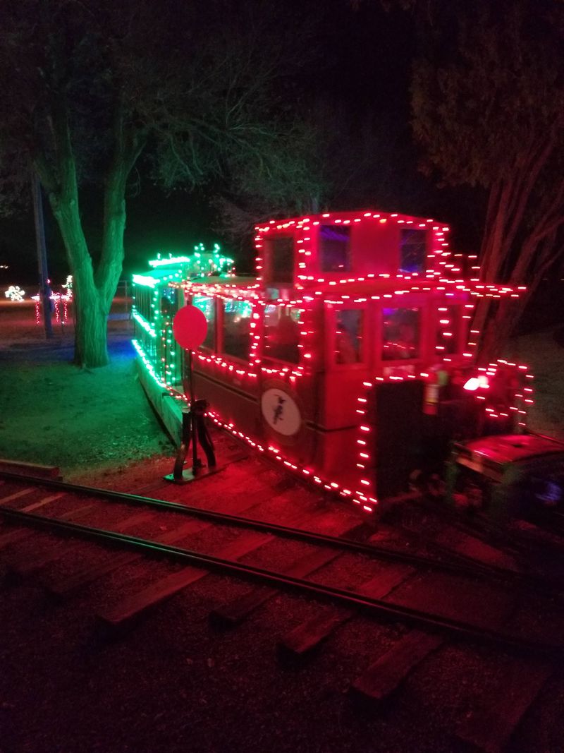 Kingfisher Winter Nights