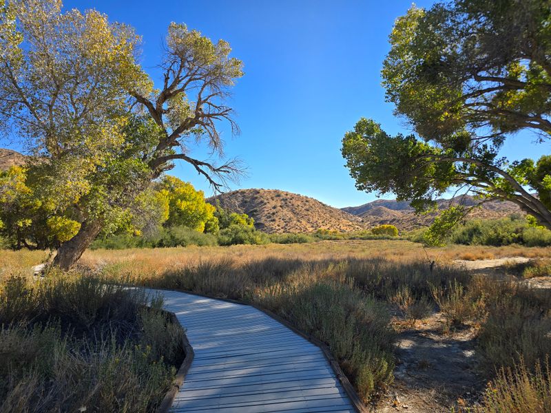 Big Morongo Canyon Preserve Birdwatching Trails