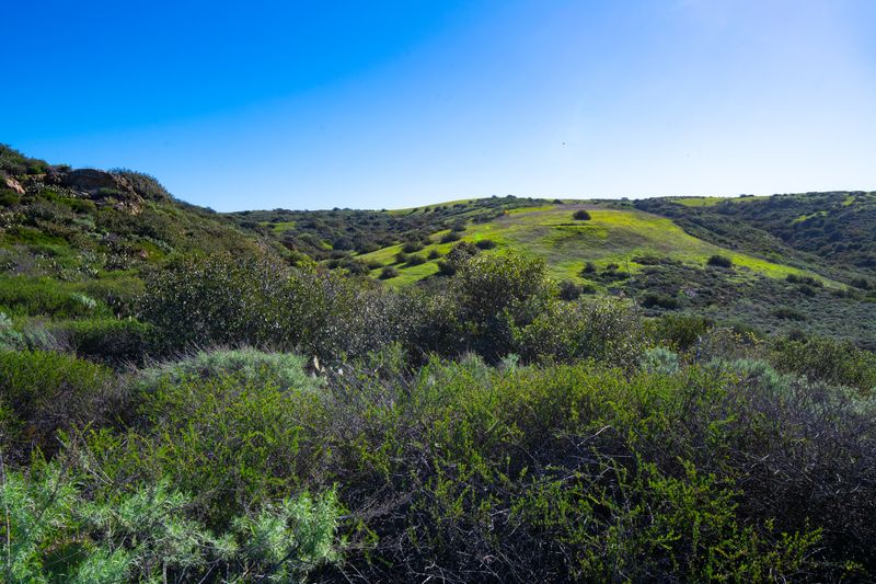 Bommer Canyon Scenic Vista Points