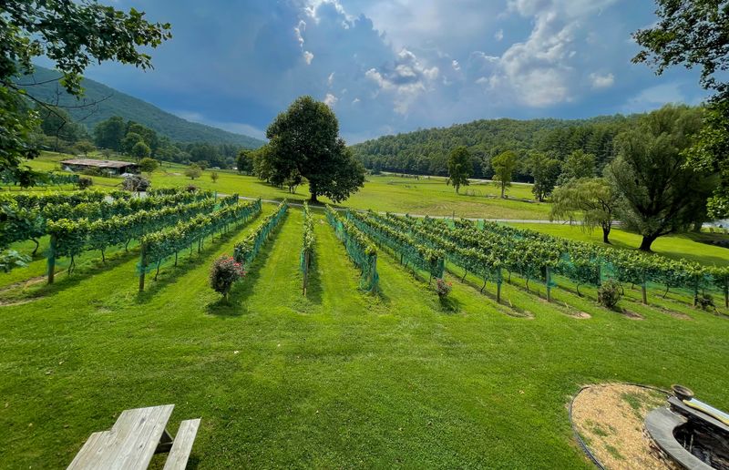 Local Wineries Add Sophisticated Flavor To Mountain Living