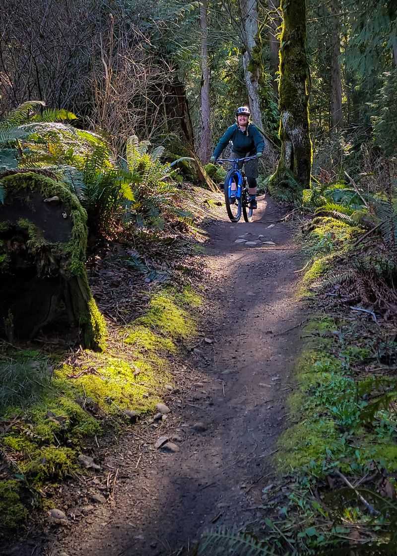 Bellingham, Washington: The Hidden Gem For Active Getaways Near Tri-Cities - Decor Hint Galbraith Mountain Offers World-Class Mountain Biking