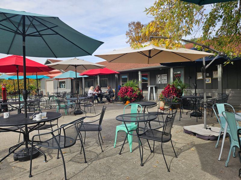 The Pet Friendly Patio That Welcomes Four Legged Friends