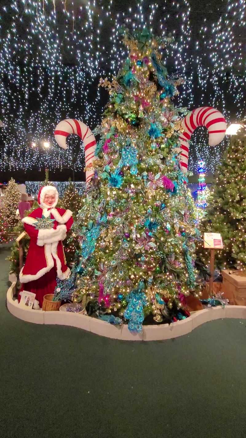 15 Florida Coastal Christmas Living Room Ideas That Feel Bright, Breezy, And Festive - Decor Hint Coral-Inspired Ornaments