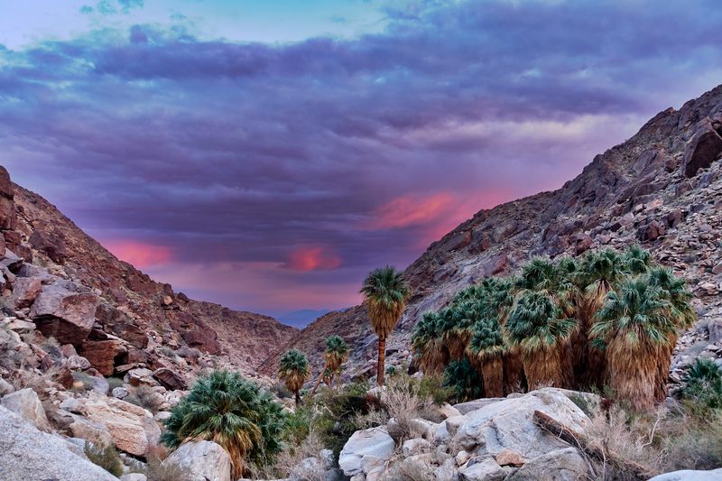 16 California Secrets Locals Keep Quiet Because They're Just That Good - Decor Hint Anza-Borrego Desert State Park