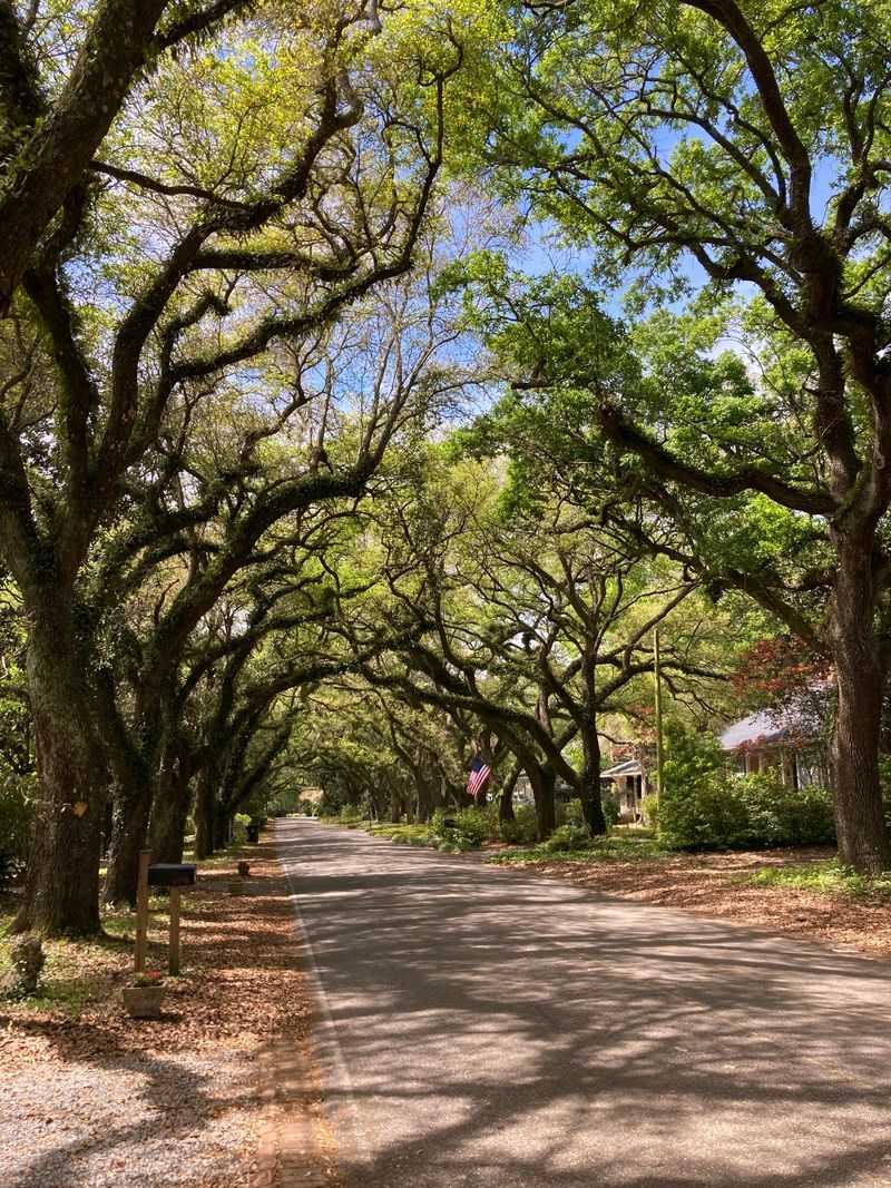 12 Alabama Beach Towns That Get Overrun By Tourists Every Summer (According To Locals) - Decor Hint Magnolia Springs