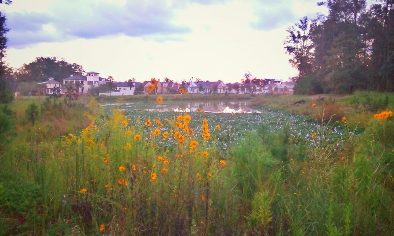 Louisiana Coastal Towns For Winter Relaxation And Cultural Immersion - Decor Hint Covington