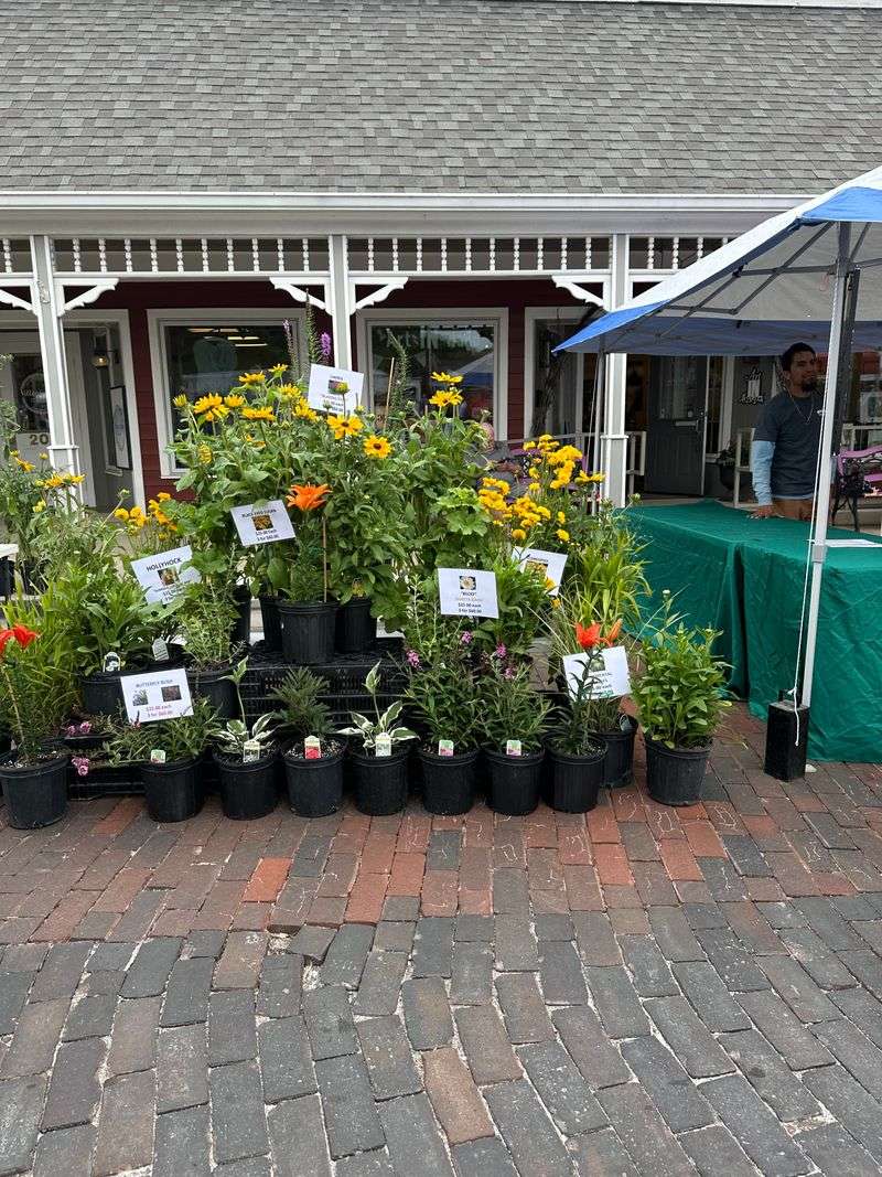 Zionsville Brick Street Market