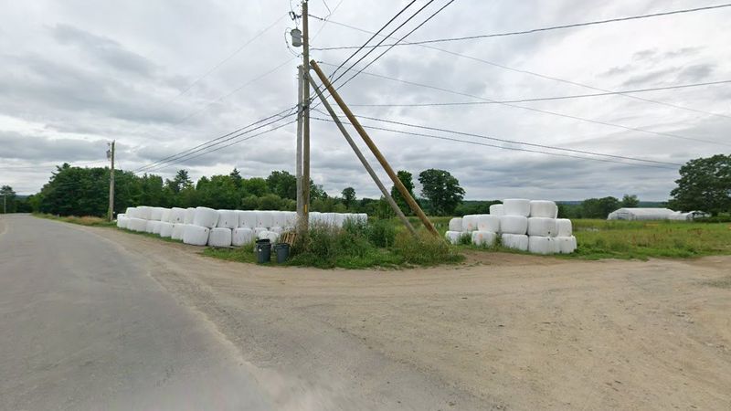 13 Maine Markets Delivering The Freshest Cuts Straight From Local Farms - Decor Hint Misty Brook Farm