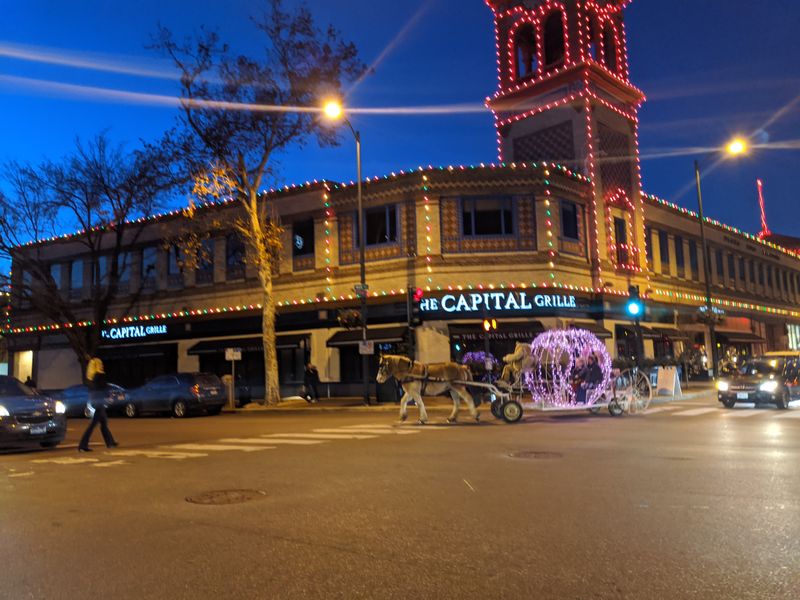 13 Naperville Winter Moments That Feel Straight Out Of A Holiday Movie - Decor Hint Horse-Drawn Carriage Rides