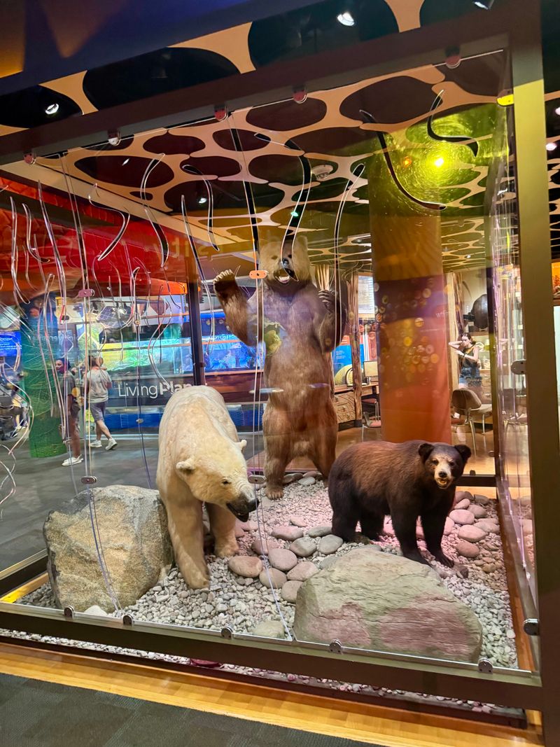 The Best Indoor Experiences In Charlotte, Straight From Visitor Reviews - Decor Hint Discovery Place Science