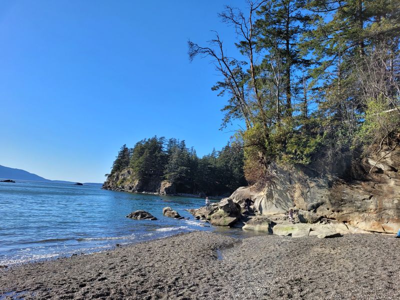 Bellingham, Washington: The Hidden Gem For Active Getaways Near Tri-Cities - Decor Hint Larrabee State Park Combines Beaches With Forest Trails