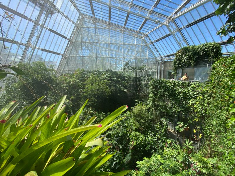 17 Iconic Cleveland Locations That Are Perfect For Celebrating Life's Big Moments - Decor Hint Cleveland Botanical Garden