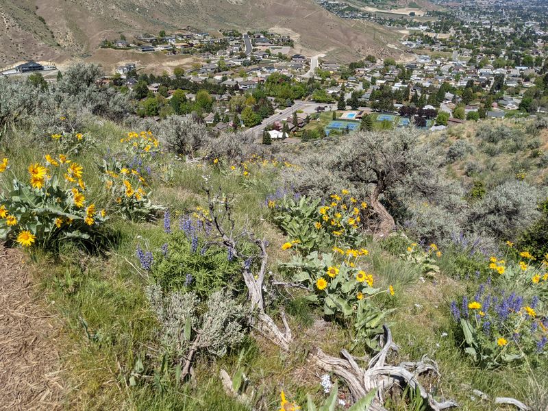 15 Unexpected Reasons Wenatchee Is The Affordable Washington Mountain Town Everyone Should See - Decor Hint Ohme Gardens Offers Alpine Paradise