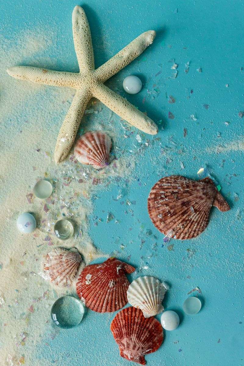 Beachy Advent Calendar Countdown