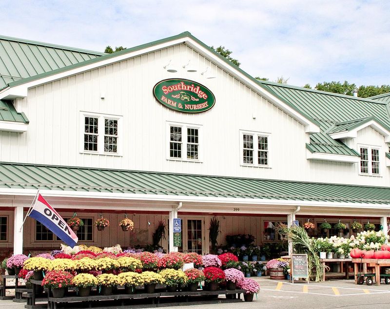 Southridge Farm & Nursery