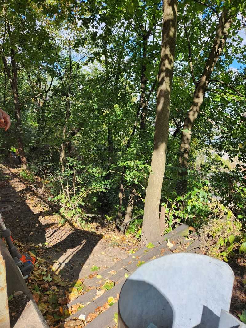 Wildlife Signs Tell Forest Stories