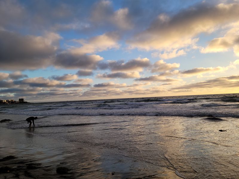 18 Beaches In San Diego County Where Sun, Sand, And Surf Await Year‑Round - Decor Hint La Jolla Shores