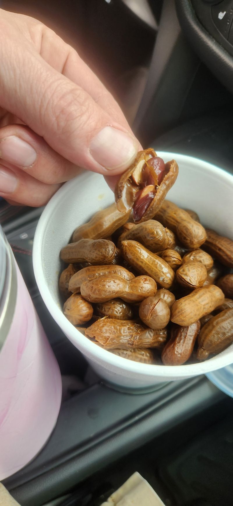 Boiled Peanuts
