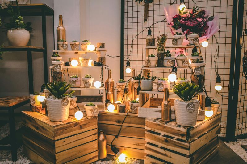Arrange Plants on Rustic Wooden Crates and Ladders