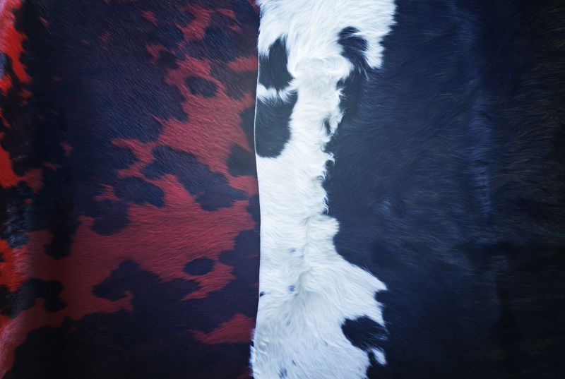 Rug Styles You'll See In Cozy Pennsylvania Living Rooms - Decor Hint Cowhide Rugs