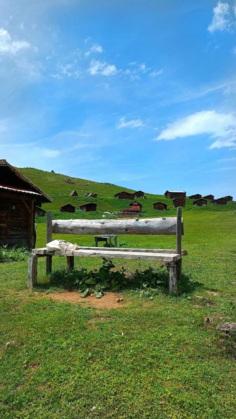 16 Minnesota Collectibles That Are Rapidly Increasing In Value - Decor Hint Original Farmhouse Pine Bench