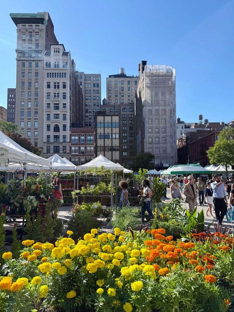 20 New York Stores And Markets Where Seafood Lovers And Meat Fans Unite - Decor Hint Union Square Greenmarket