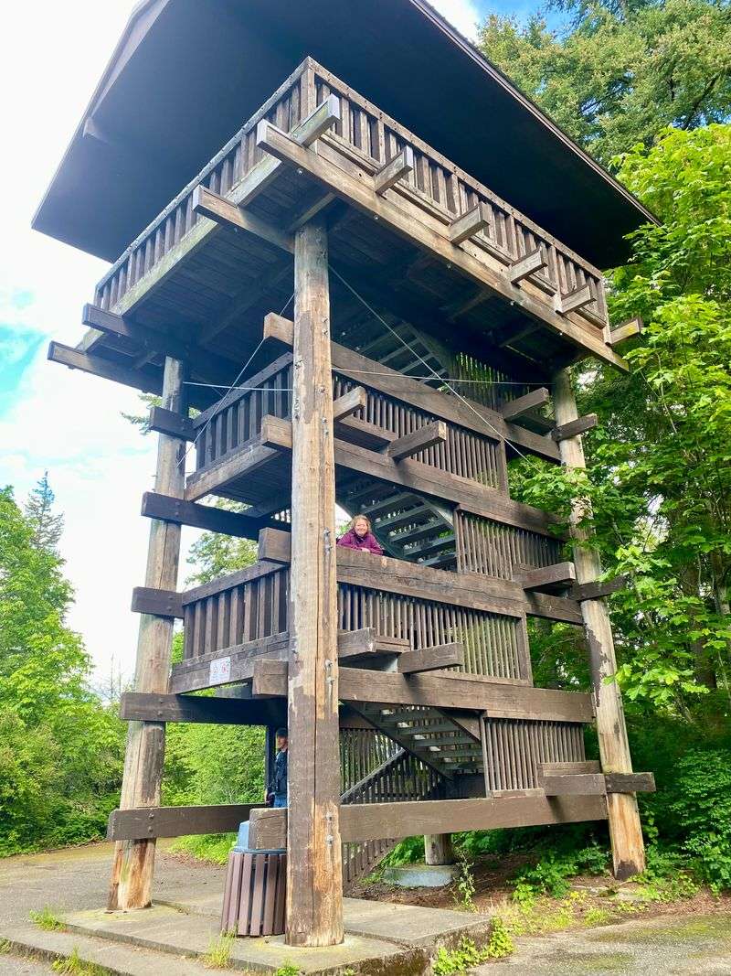 Exploring Bellingham: Where Pacific Northwest Life Comes Together - Decor Hint Sehome Hill Arboretum