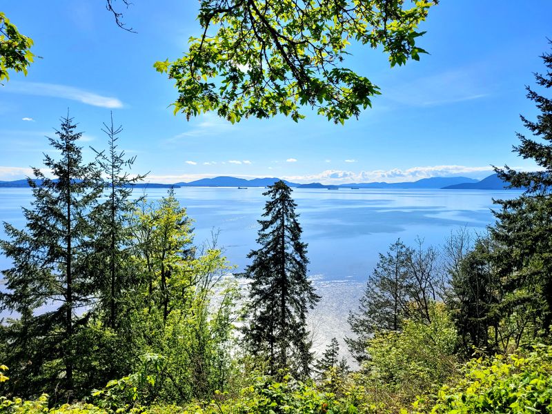 Exploring Bellingham: Where Pacific Northwest Life Comes Together - Decor Hint Chuckanut Drive Scenic Byway