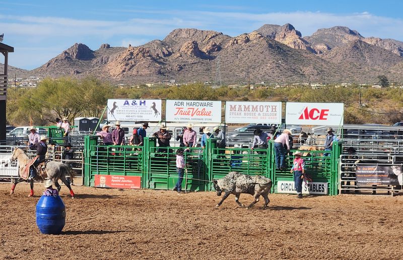 13 Arizona Winter Festivals You Can't Miss That Celebrate Cool Weather Desert-Style - Decor Hint Lost Dutchman Days