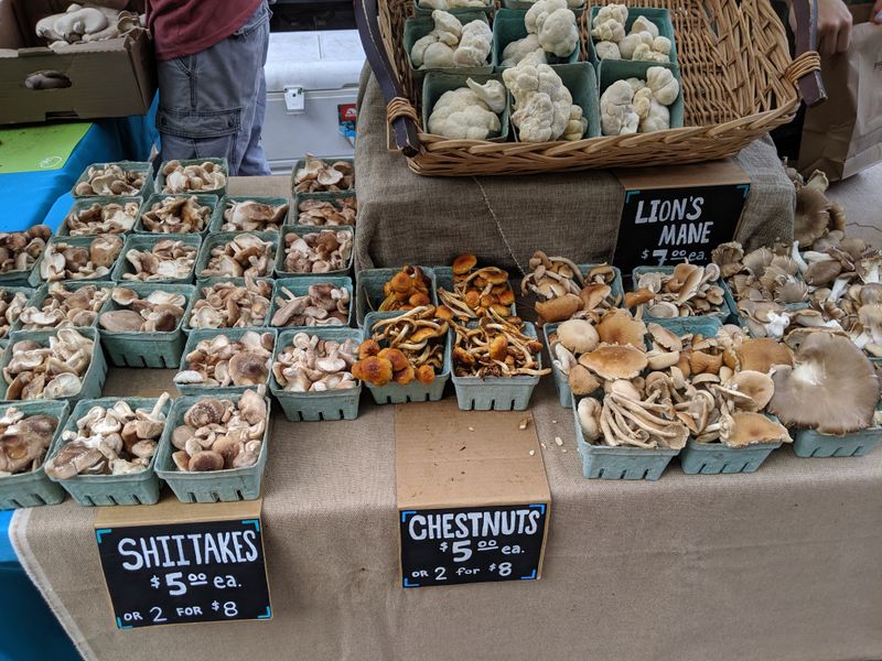 Small Business Spotlights And Market Culture